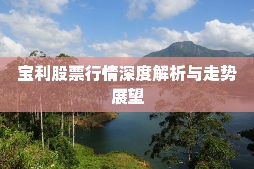 宝利股票行情深度解析与走势展望