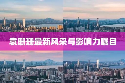 袁珊珊最新风采与影响力瞩目