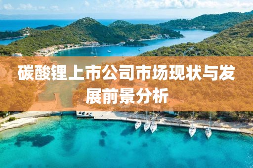 碳酸锂上市公司市场现状与发展前景分析