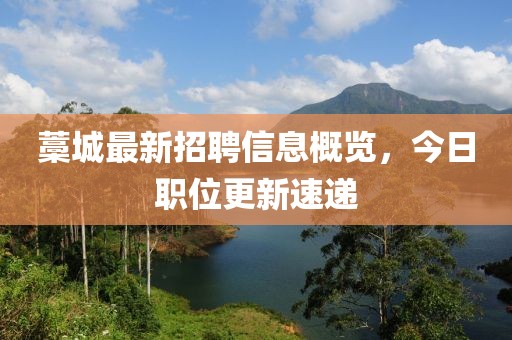 藁城最新招聘信息概览，今日职位更新速递