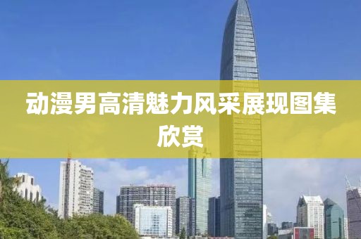 动漫男高清魅力风采展现图集欣赏