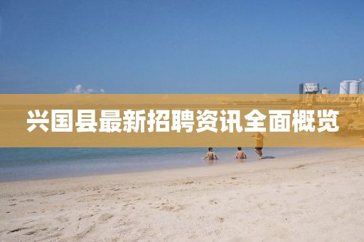 兴国县最新招聘资讯全面概览