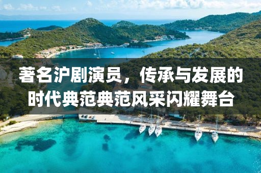 著名沪剧演员，传承与发展的时代典范典范风采闪耀舞台