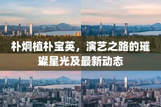 朴炯植朴宝英，演艺之路的璀璨星光及最新动态