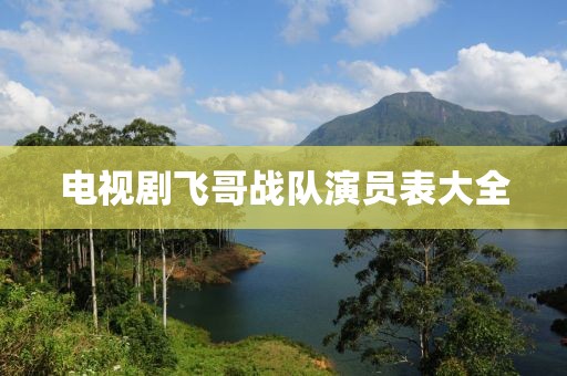 电视剧飞哥战队演员表大全