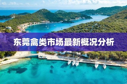 东莞禽类市场最新概况分析