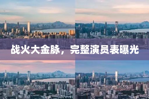 战火大金脉，完整演员表曝光