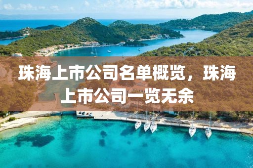 珠海上市公司名单概览，珠海上市公司一览无余