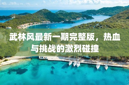 武林风最新一期完整版，热血与挑战的激烈碰撞