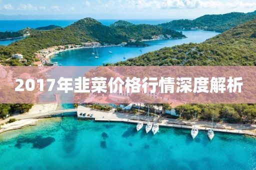 2017年韭菜价格行情深度解析