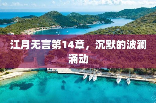 江月无言第14章，沉默的波澜涌动