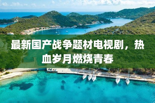 最新国产战争题材电视剧，热血岁月燃烧青春