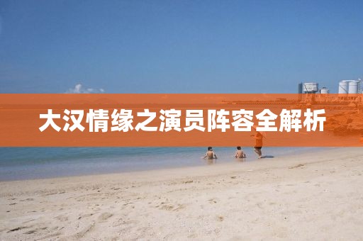 大汉情缘之演员阵容全解析