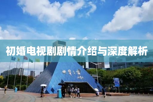 初婚电视剧剧情介绍与深度解析