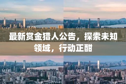 最新赏金猎人公告，探索未知领域，行动正酣