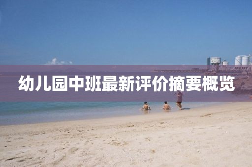 幼儿园中班最新评价摘要概览