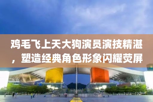 鸡毛飞上天大狗演员演技精湛，塑造经典角色形象闪耀荧屏