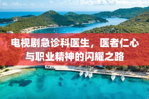 电视剧急诊科医生，医者仁心与职业精神的闪耀之路