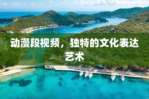 动漫段视频，独特的文化表达艺术