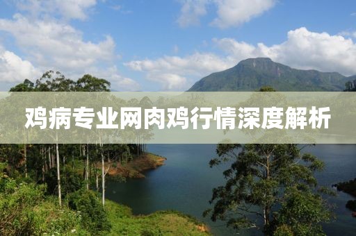 鸡病专业网肉鸡行情深度解析