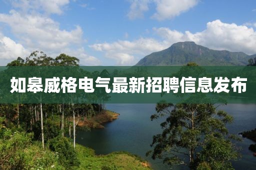 如皋威格电气最新招聘信息发布