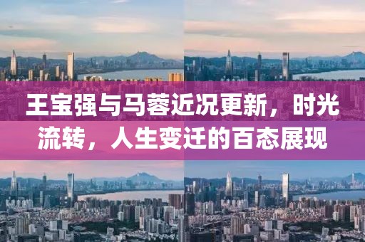 王宝强与马蓉近况更新，时光流转，人生变迁的百态展现