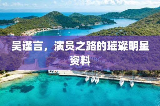 吴谨言，演员之路的璀璨明星资料