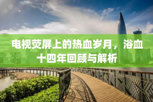电视荧屏上的热血岁月，浴血十四年回顾与解析