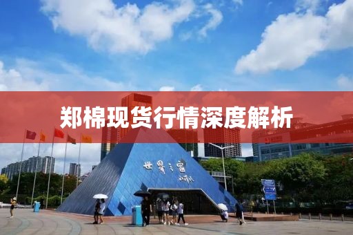 郑棉现货行情深度解析