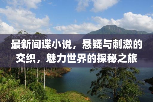 最新间谍小说，悬疑与刺激的交织，魅力世界的探秘之旅