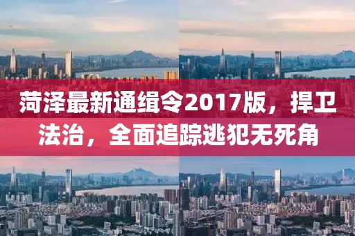 菏泽最新通缉令2017版，捍卫法治，全面追踪逃犯无死角