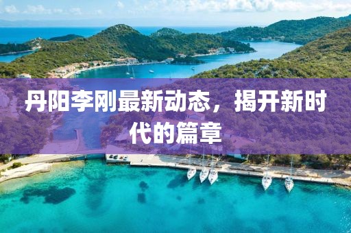 丹阳李刚最新动态，揭开新时代的篇章