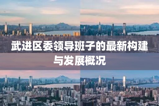 武进区委领导班子的最新构建与发展概况