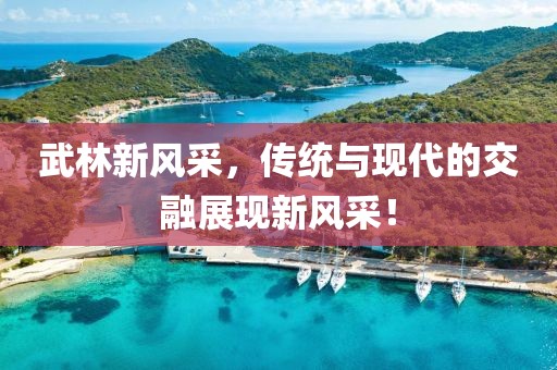 武林新风采，传统与现代的交融展现新风采！