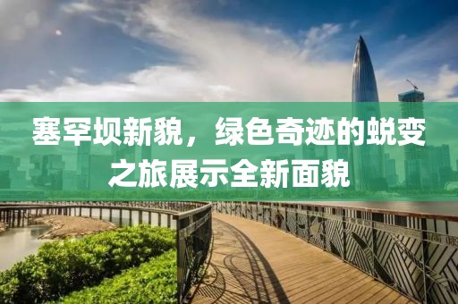 塞罕坝新貌，绿色奇迹的蜕变之旅展示全新面貌