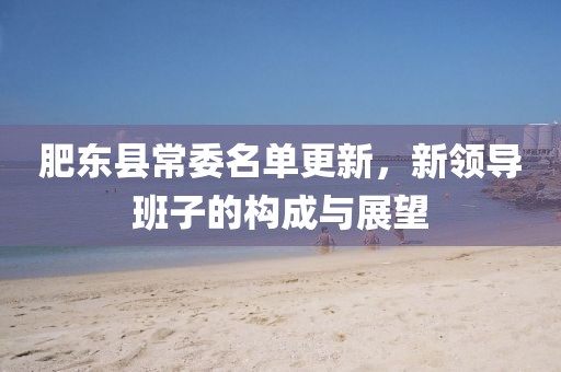 肥东县常委名单更新，新领导班子的构成与展望