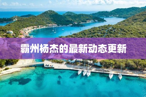 霸州杨杰的最新动态更新