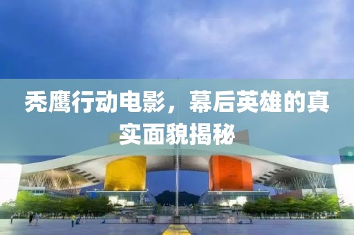 秃鹰行动电影，幕后英雄的真实面貌揭秘