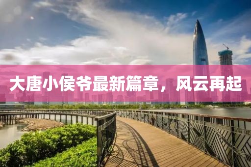 大唐小侯爷最新篇章，风云再起