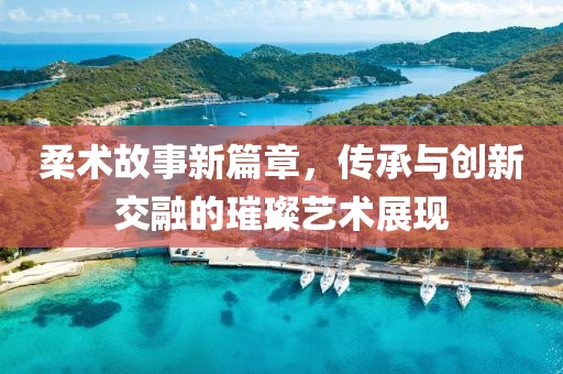 柔术故事新篇章，传承与创新交融的璀璨艺术展现