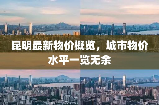 昆明最新物价概览，城市物价水平一览无余