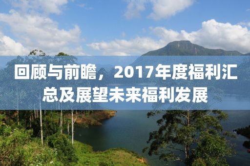 回顾与前瞻，2017年度福利汇总及展望未来福利发展