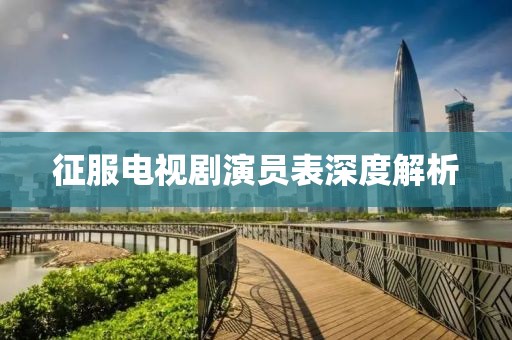征服电视剧演员表深度解析
