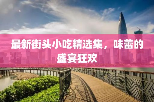 最新街头小吃精选集，味蕾的盛宴狂欢