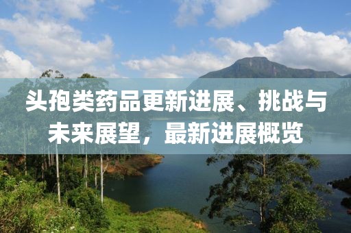 2024年12月 第15页