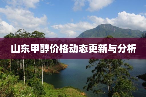 山东甲醇价格动态更新与分析