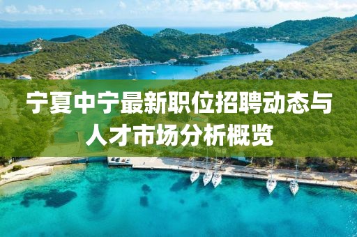 宁夏中宁最新职位招聘动态与人才市场分析概览