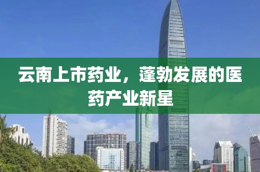 云南上市药业，蓬勃发展的医药产业新星