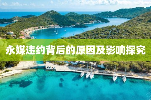 永媒违约背后的原因及影响探究