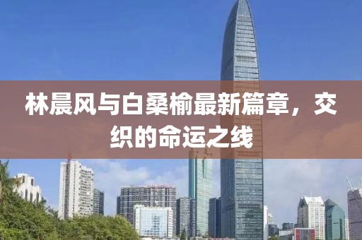 林晨风与白桑榆最新篇章，交织的命运之线
